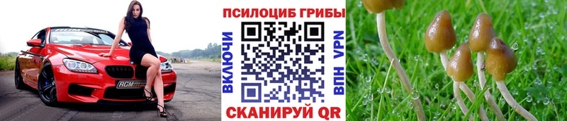 Псилоцибиновые грибы мухоморы  kraken ССЫЛКА  Лениногорск 