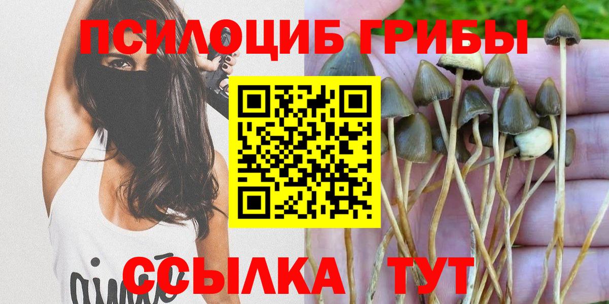 Псилоцибиновые грибы Cubensis  Псилоцибиновые грибы GOLDEN TEACHER  цена   Вход с VPN  Лениногорск 